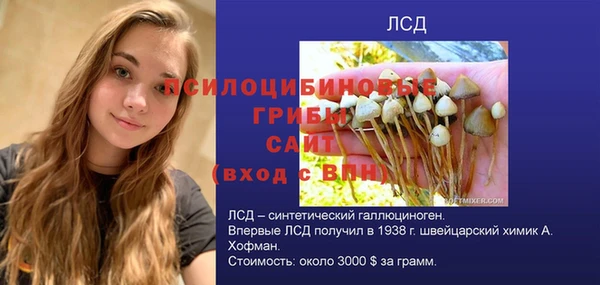 МДПВ Каменногорск