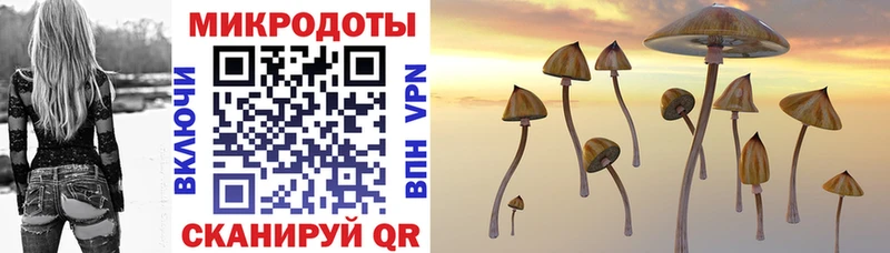 Псилоцибиновые грибы Psilocybine cubensis  Саранск 