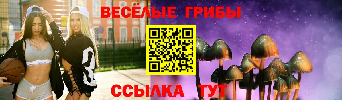 Псилоцибиновые грибы ЛСД  Вход с VPN  Саранск  Галлюциногенные грибы мухоморы 